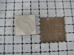 Pusches Schraubertag 2008