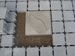 Pusches Schraubertag 2008